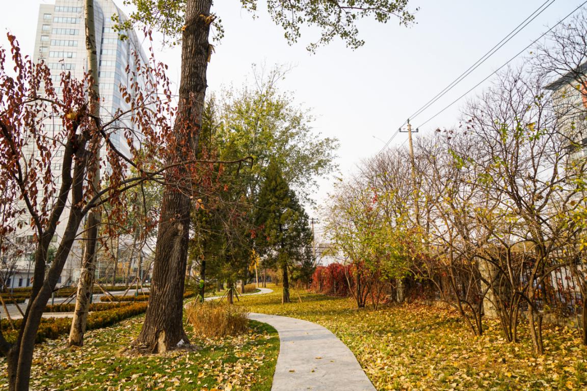 c42b7f10566fe828844854d5e9ac2b8