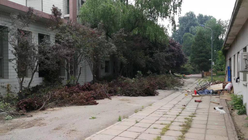 c13776828bc9061d07d1d7042aa77cd8_